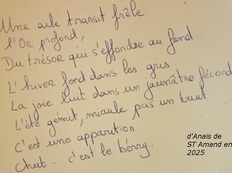 poesie SLOW ZEN